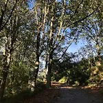 Διαμέρισμα A Casa Da Fonte