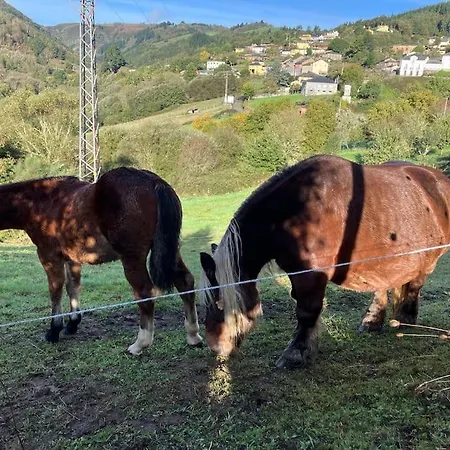 A Casa Da Fonte * Santa Eulalia de Oscos