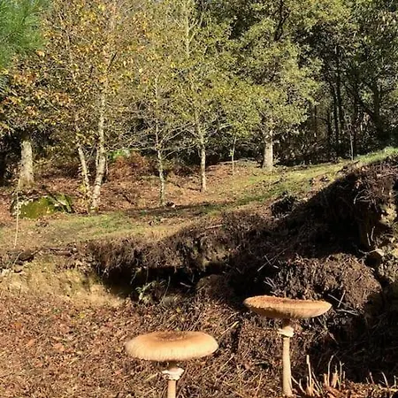 A Casa Da Fonte Appartement Santa Eulalia de Oscos