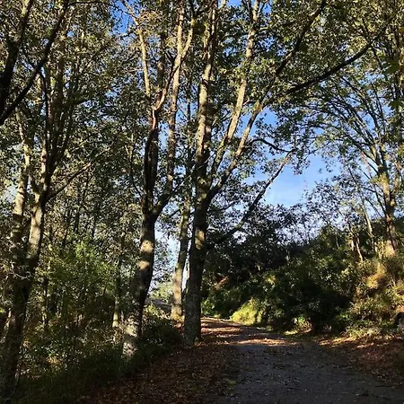 Appartement A Casa Da Fonte