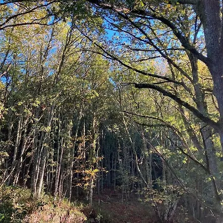A Casa Da Fonte Santa Eulalia de Oscos
